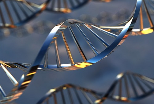 genetics