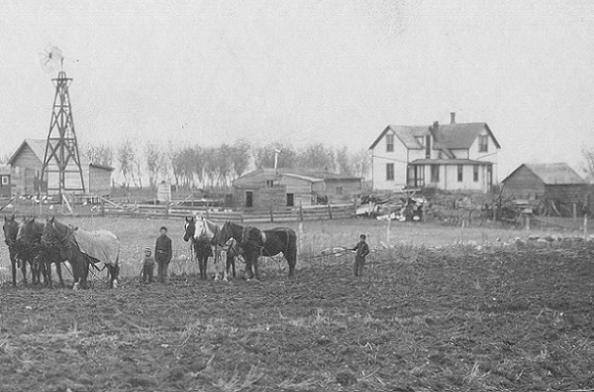 Stockstad farm, Milnor ND 2